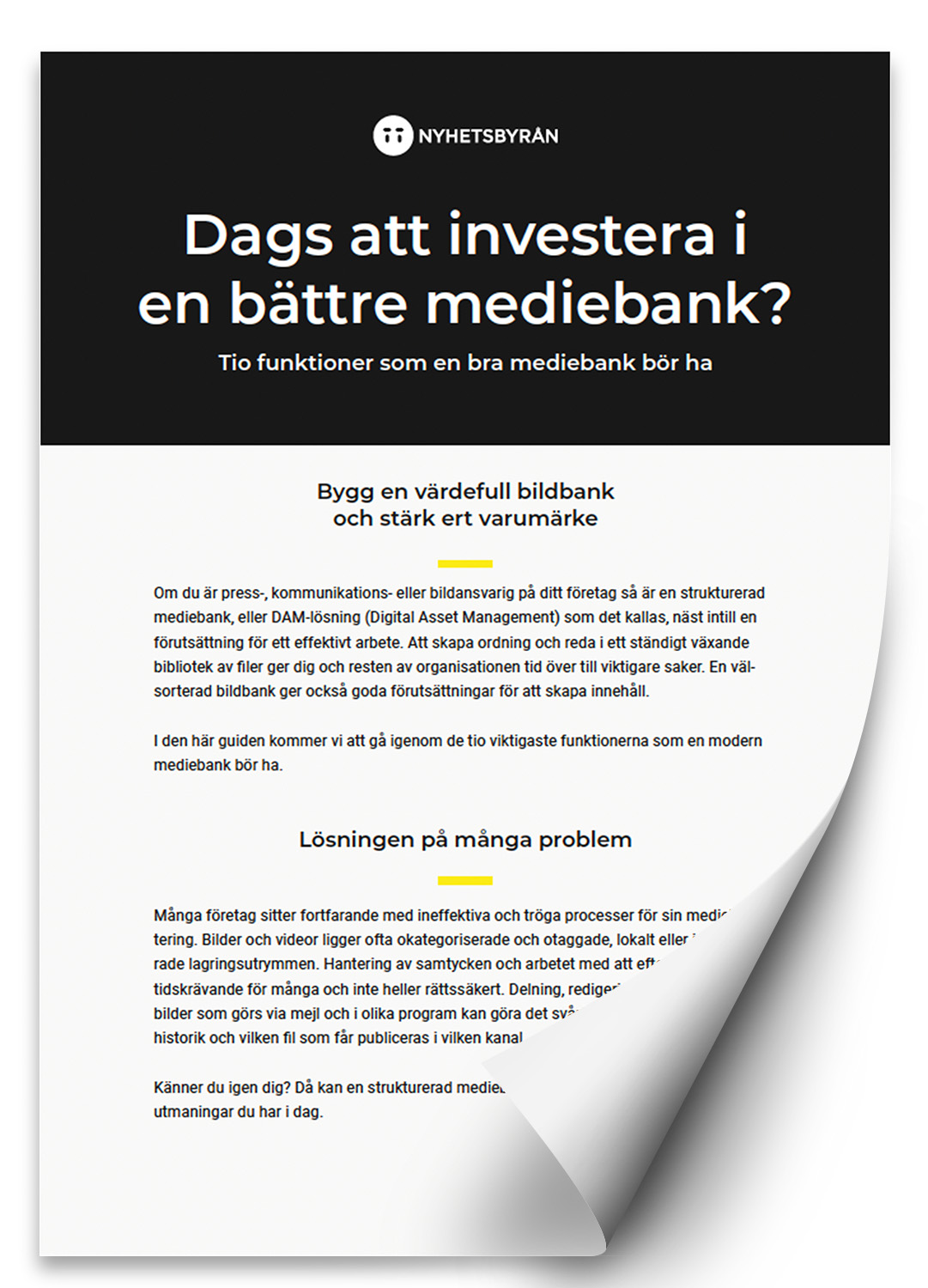 guide ny format